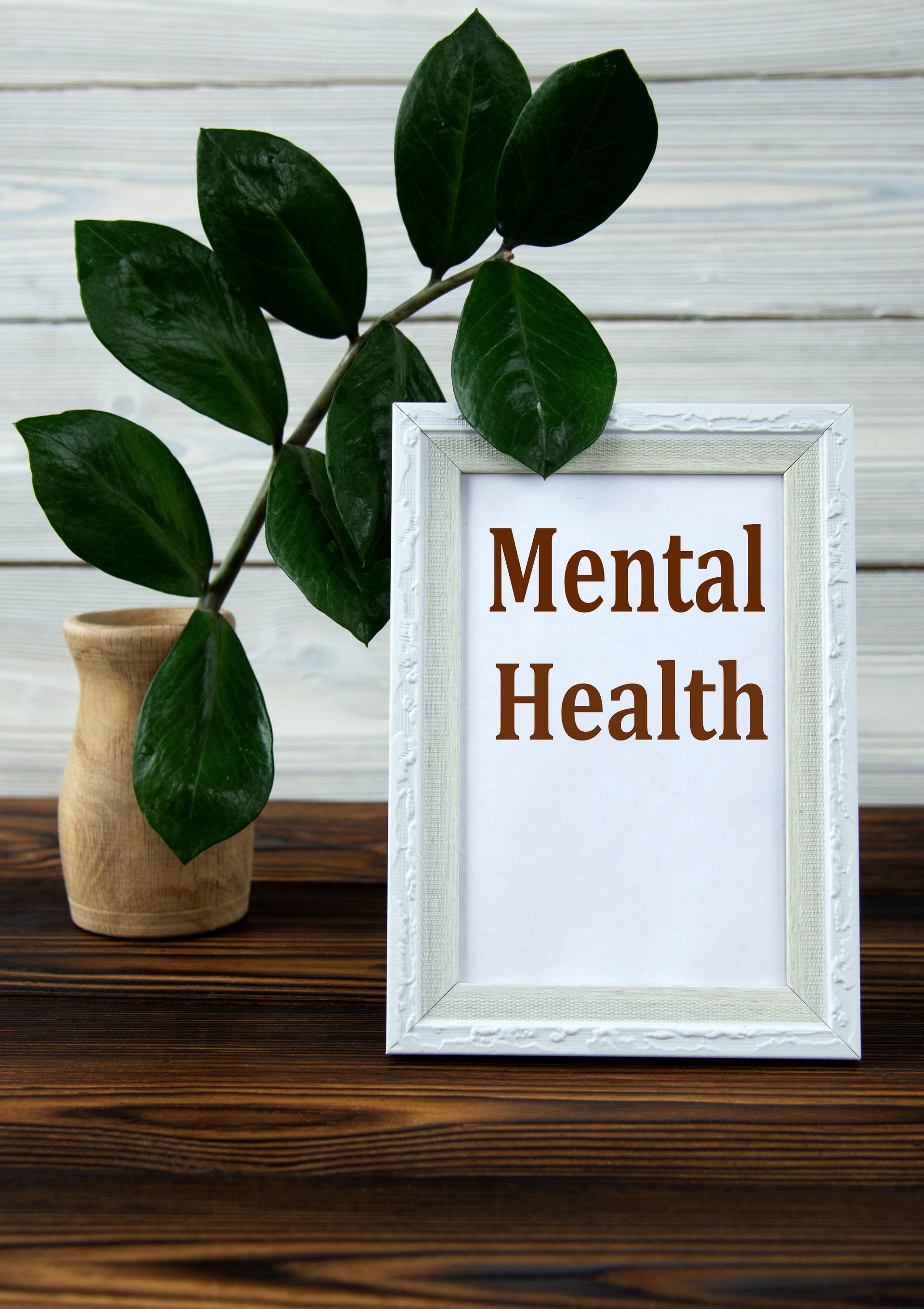 MENTAL HEALTH - words in a white frame on a brown wooden table with a vase and a green branch